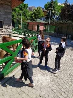 Evrensel Kolej